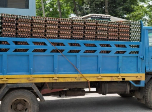 Egg transport & export logistics in namakkal