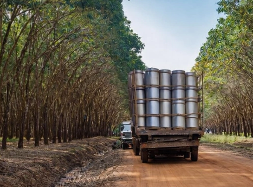 Rubber & latex logistics