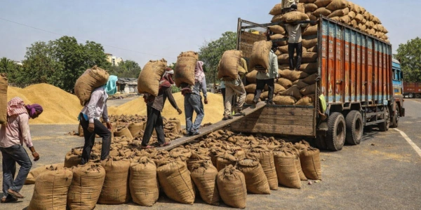 Agriculture trading & market loads