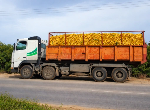 Orange export & agri trading logistics